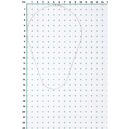 Цепь якорного плетения из белого золота 585 пробы, фото № 3